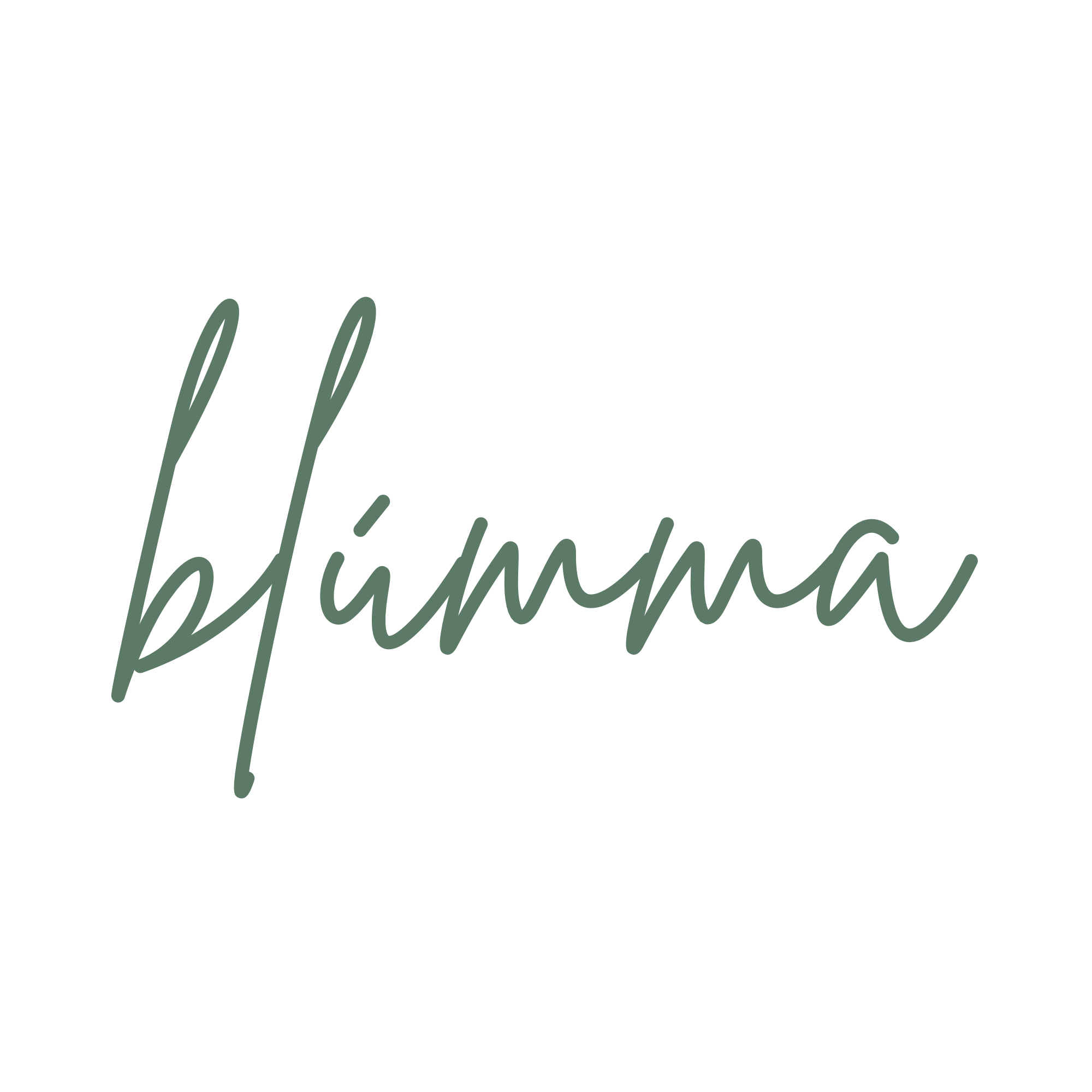 Blúmma blómastúdíó